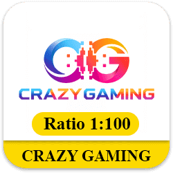Crazy Gaming